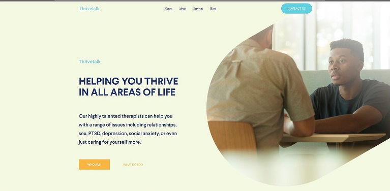 Portfolio image